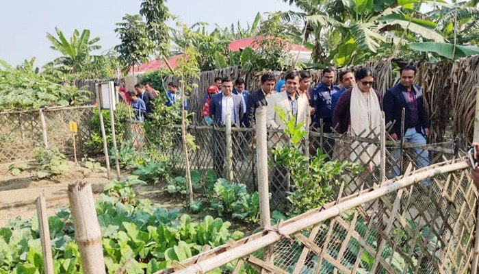 রূপসায় জনপ্রিয় হচ্ছে পারিবারিক পুষ্টি বাগান