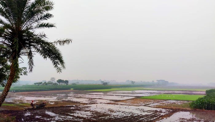 শীত, হিমেল বাতাস ও কুয়াশায় নাকাল চুয়াডাঙ্গার মানুষ