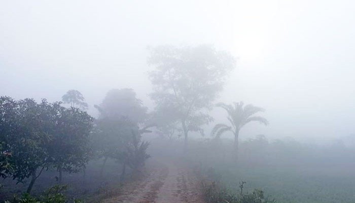 চুয়াডাঙ্গায় সপ্তাহব্যাপী শৈত্যপ্রবাহ, বাড়ছে রোগ