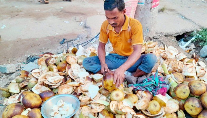 নরসিংদীতে  বেড়েছে তালের শাঁসের কদর