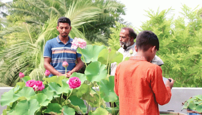 শাপলা-পদ্ম চাষ করে অর্ধ লাখ টাকা আয় রিজনের