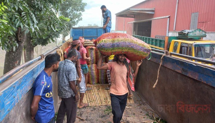 হিলি দিয়ে আসছে কাঁচামরিচ