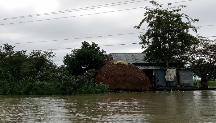 ‘এবার বন্যা হইলে নিঃস্ব হইয়া যাইমু’