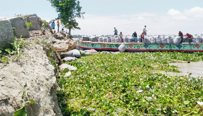 যমুনায় বিলীন আশ্রয়কেন্দ্রসহ হাজারের বেশি ঘরবাড়ি