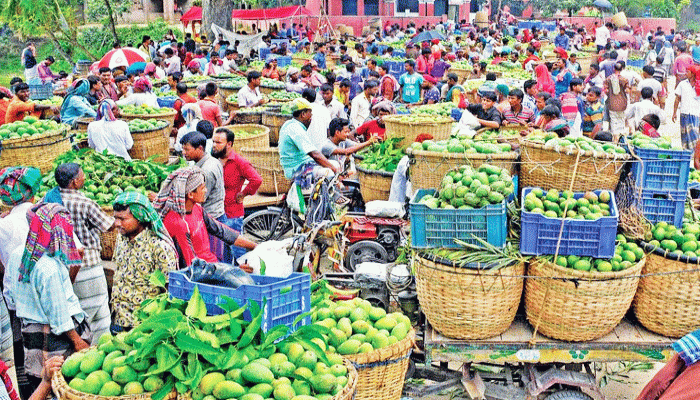 চলতি বছর ৩৪ দেশে ২৭০০ টন আম রপ্তানি