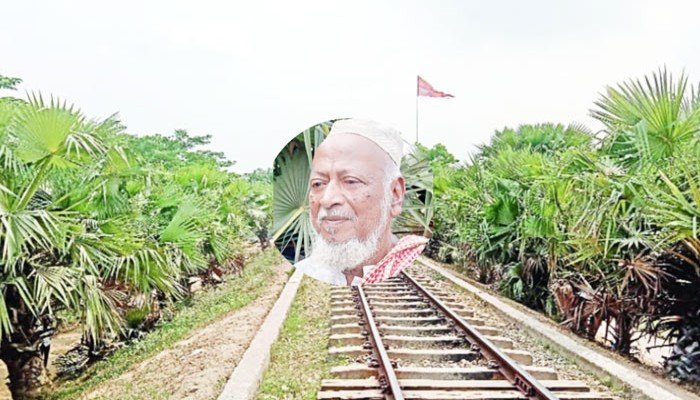 ‘যখন আমি থাকবো না এ গাছগুলোই হবে আমার অস্তিত্ব’