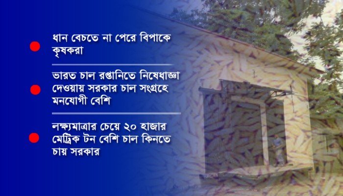 যে কারণে ব্রাহ্মণবাড়িয়ায় সরকারি গুদামে ধান কেনা বন্ধ