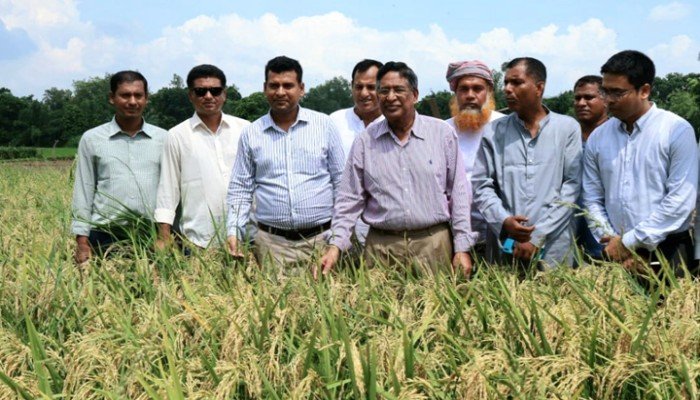 দিন দিন কৃষি জমি কমছে : কৃষিমন্ত্রী