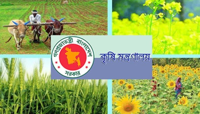 রবি মৌসুমে উৎপাদন বাড়াতে ১৮৯ কোটি টাকার প্রণোদনা