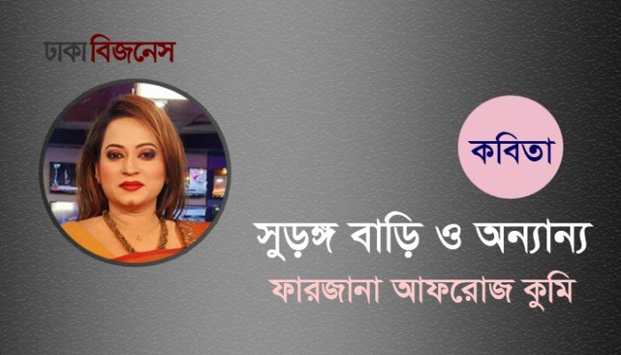 সুড়ঙ্গ বাড়ি ও অন্যান্য