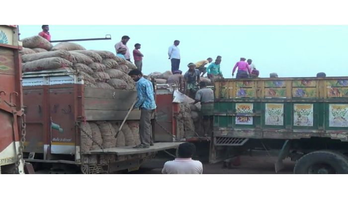 একদিনেই এলো ১৪ ট্রাক পেঁয়াজ, তবু ঝাঁজ কমেনি