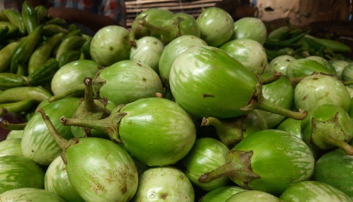 বেগুনের গুণ বেড়েছে, কেজিপ্রতি ২০ টাকা