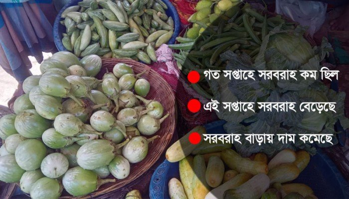 গুণ কমেছে বেগুনের, কেজিতে ২০ টাকা