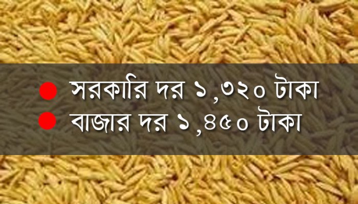 যে-কারণে হিলিতে সরকারি খাদ্যগুদামে ধান দিচ্ছেন না কৃষকেরা