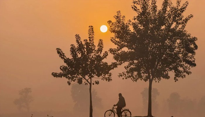 ৭ জেলায় মৃদু শৈত্যপ্রবাহের পূর্বাভাস